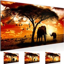 Wandbild Afrika Sonnenuntergang Bild XXL Wohnzimmer Bilder 100x40 cm orange