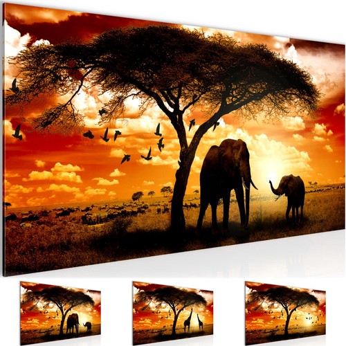 Wandbild afrika - wandbild,