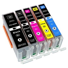 20er XXL Patronen für PGI-580