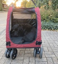 Hundebuggy neuwertig, für Hunde bis 50 kg, Transport (Versand möglich), Jogger,
