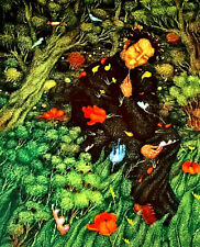 ARIK BRAUER >Naturgarten< HAND-SIGNIERT, Farbsiebdruck 327/400, 80x60 mit Rahmen