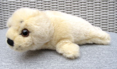 Seehund robben baby heuler - baby, |
