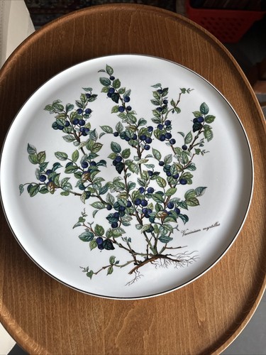 Villeroy boch botanica - villeroy, ,botanica