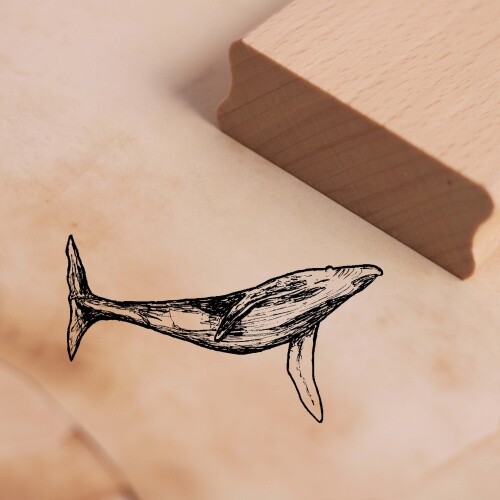 Motivstempel blauwal wal - blauwal,