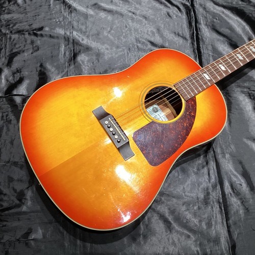 Epiphone inspired by - ft-79, vc