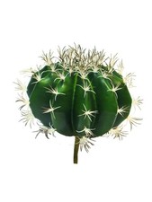 artplants Deko Kaktus