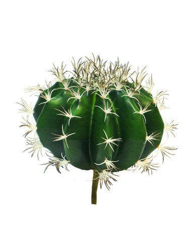 Artplants deko kaktus - artplants,