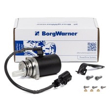 BORGWARNER Haldex Vorladepumpe