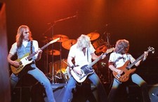 STATUS QUO in concert 1981! 62