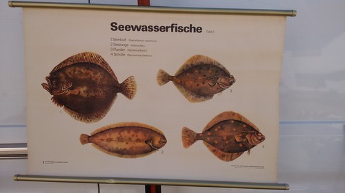 Schulwandkarte rollbild - schulwandkarte,rollbild, "