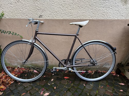 Gazelle van stael 2023 - 2023, 28