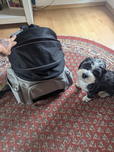 Hunde transportrucksack mit - hunde-transportrucksack,