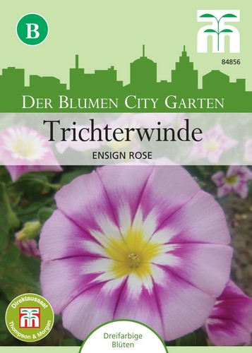 Trichterwinde ensign rose - 'ensign, rose'