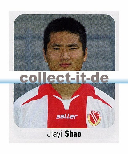 Panini bundesliga 07 - bundesliga, 06/07