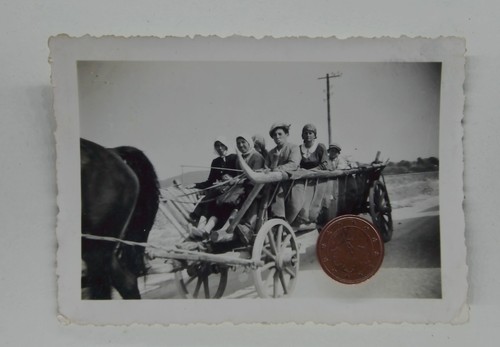 Foto polen frauen und - polen,