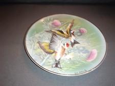 Rosenthal Porzellan Wandteller