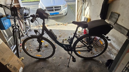 Fahrrad pegasus - fahrrad,