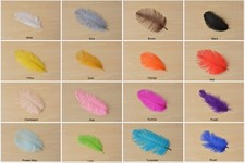 Hochwertige Straußenfeder