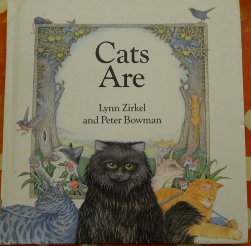 Cats are lynn - by, and