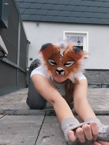 Wunderschöne katzen maske - wunderschöne,