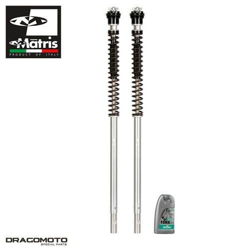 Gabel kit triumph daytona 675 - gabel,