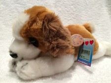 BERNHARDINER WELPE BARRY -