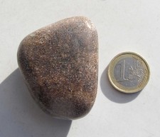 Saurier Dinosaurier Knochen