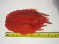 IBIS ERSATZGÄNSEHOSE ROTE