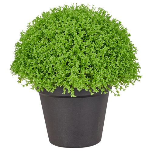 Kunstpflanze selaginella apoda - kunstpflanze,