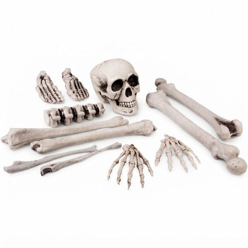 Halloween dekoset knochen - dekoset,