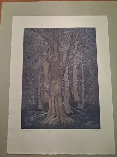 Friderike michelsen - friderike,