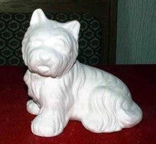 UB-YOZ-1391- Hund - Westi -