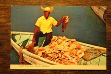 Postcard Bahamas Bahama Inseln Islands Muschel shell Fischer Briefmarke stamp AK