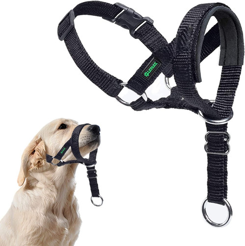 Hundehalfter mit - hundehalfter,