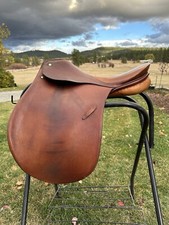 Horse Tack - 16 1/2” Passier