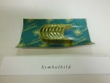 Pleuellager Satz für