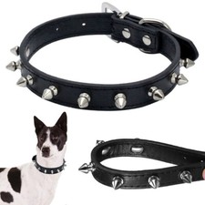 Hundehalsband mit Nieten
