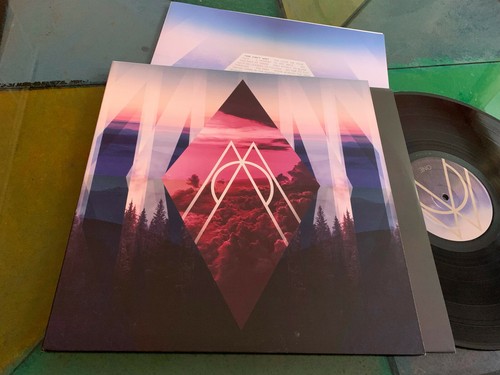 Usa 2017 matt cameron - lp,
