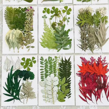 HABO 15-Teiliges Set Gepresste