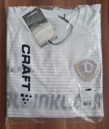 Dynamo dresden craft training - dresden,