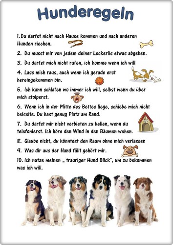 Warnschild 20x30cm - warnschild,