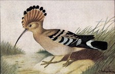 Künstler Ak Portrait vom