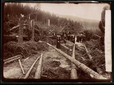 Ansicht Ilsenburg, Paternoster Klippen, Felsformation 