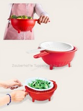 Tupperware Saladin Multisieb