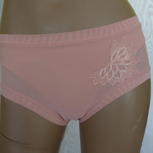 Rosa faia stella - rosa,