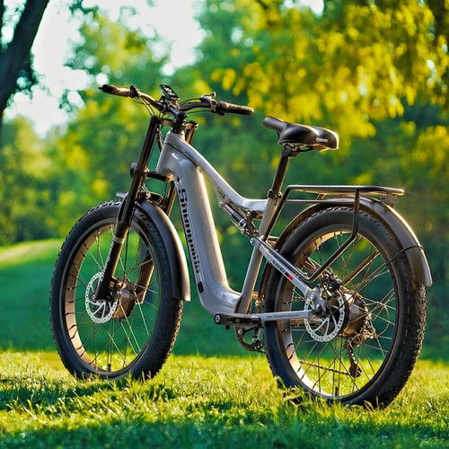 2000w 48v elektrofahrrad - 2000w,