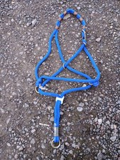 Blau Monty Roberts Be Nice