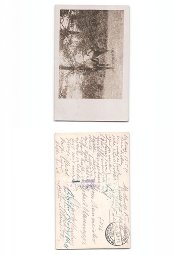 Ansichtskarte - (f826),
