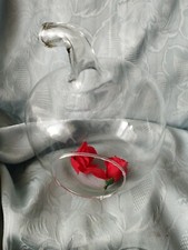 Blumen Glas Blumenvase Deko Glas mit Loch z. Bepflanzen Höhe 18/17cm