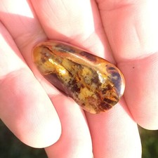 klein aber Fein Pietersit Sturmstein Gleichgewicht Klarheit Pietersite Nr.S Zen